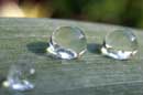 Raindrops - �2005 Lauri A. Kangas