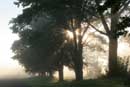 Morning Crepuscular Rays, September 6, 2005 - � 2004 Lauri Kangas