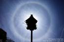 Halos, Parry Arcs, Circumzenithal Arcs, Sundogs and Moondogs - � Lauri A. Kangas