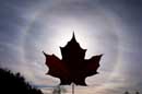 Canadian Halo - �2006 Lauri A. Kangas