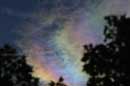 Iridescent Clouds, August 7, 2004 - � 2004 Lauri Kangas