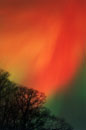 Aurora Borealis, November 5, 2001 - �2001 Lauri A. Kangas