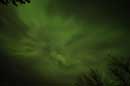 Aurora Borealis, November 7th and 8th, 2004 - � 2004 Lauri Kangas