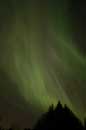 Aurora Borealis, November 7th and 8th, 2004 - � 2004 Lauri Kangas