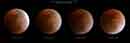 Total Lunar Eclipse, Feb 20, 2008 - �2008 Lauri A. Kangas