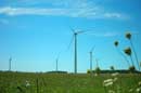 Windmill Farm Near Shelburne, Ontario - � 2006 Lauri A. Kangas