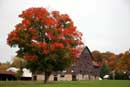 Autumn in Caledon - �2005 Lauri A. Kangas