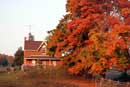 Autumn in Caledon - �2005 Lauri A. Kangas