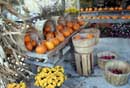 Autumn in Caledon - �2005 Lauri A. Kangas