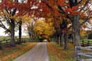 Autumn in Caledon - � 2004 Lauri Kangas
