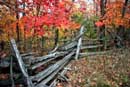 Autumn in Caledon - �2005 Lauri A. Kangas