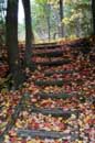 Autumn in Caledon - � 2004 Lauri Kangas