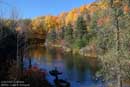 Autumn in Caledon - �2005 Lauri A. Kangas