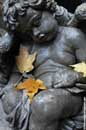 Autumn in Caledon - � 2004 Lauri Kangas