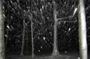 Wind Driven Snow - � 2005 Lauri Kangas
