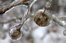 Icy World - � 2005 Lauri Kangas