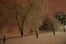 Snowstorm - �2006 Lauri A. Kangas