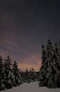 Orion and Sirius - �2006 Lauri A. Kangas