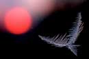 Fire and Ice - �2004 Lauri A. Kangas