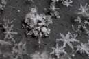 Snowflakes - � 2004 Lauri Kangas