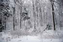 Winter Wonderland - � 2006 Lauri Kangas