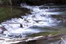 Humber River �2006 Lauri A. Kangas