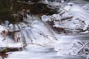 Humber River �2006 Lauri A. Kangas